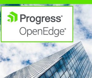 Progress-Software-OpenEdge-consultant